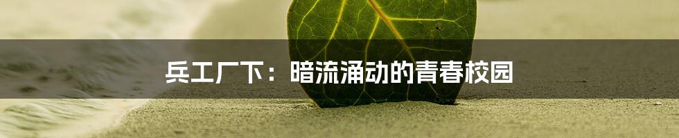 兵工厂下:暗流涌动的青春校园