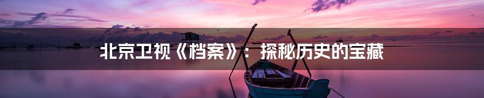 北京卫视《档案》:探秘历史的宝藏