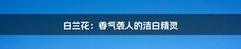 白兰花:香气袭人的洁白精灵
