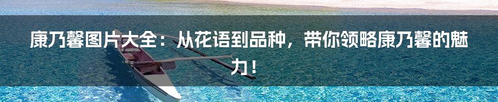 康乃馨图片大全:从花语到品种,带你领略康乃馨的魅力!
