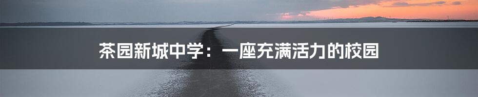 茶园新城中学:一座充满活力的校园