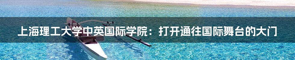 上海理工大学中英国际学院:打开通往国际舞台的大门