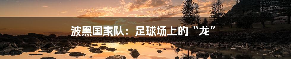 波黑国家队:足球场上的“龙”