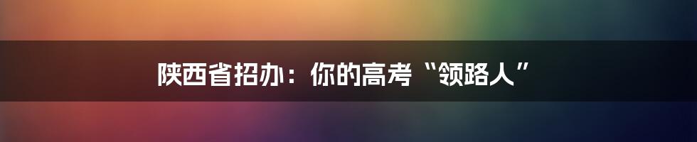 陕西省招办:你的高考“领路人”