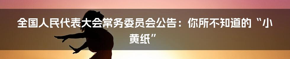 全国人民代表大会常务委员会公告：你所不知道的“小黄纸”