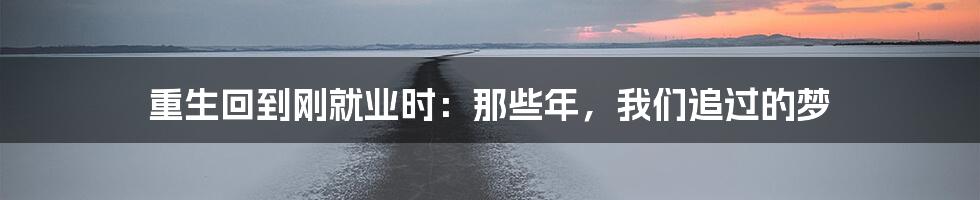 重生回到刚就业时:那些年,我们追过的梦