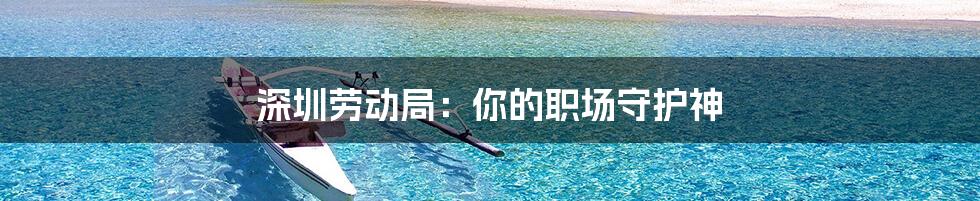 深圳劳动局:你的职场守护神