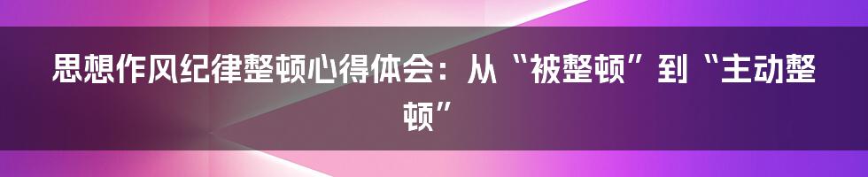 思想作风纪律整顿心得体会:从“被整顿”到“主动整顿”