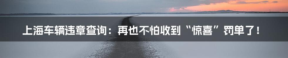 上海车辆违章查询:再也不怕收到“惊喜”罚单了!