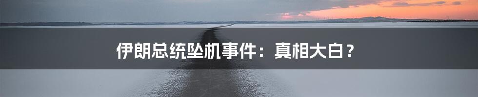 伊朗总统坠机事件:真相大白?