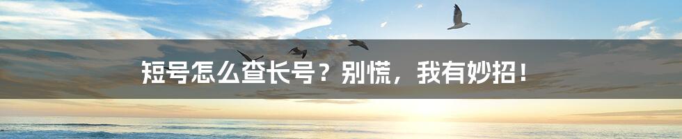 短号怎么查长号?别慌,我有妙招!
