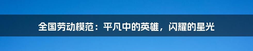全国劳动模范：平凡中的英雄，闪耀的星光