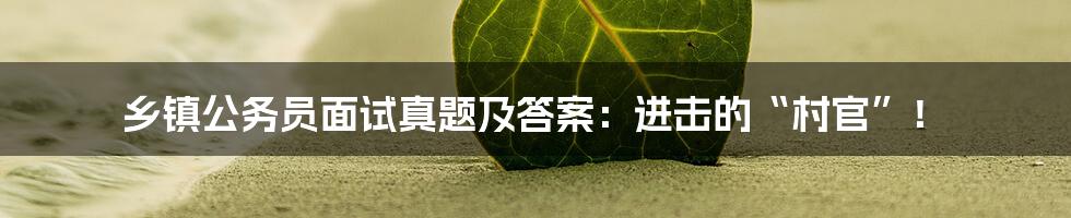 乡镇公务员面试真题及答案:进击的“村官”!