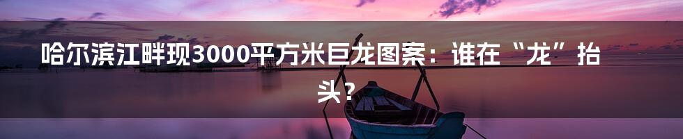 哈尔滨江畔现3000平方米巨龙图案:谁在“龙”抬头?