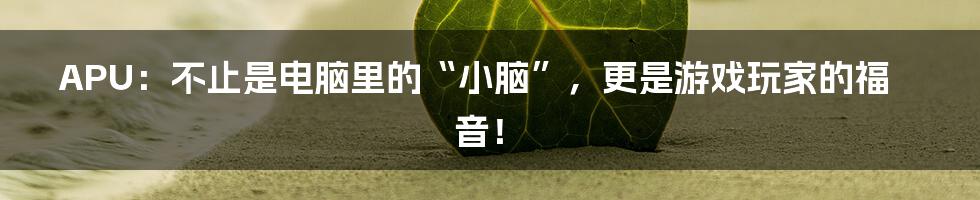APU:不止是电脑里的“小脑”,更是游戏玩家的福音!