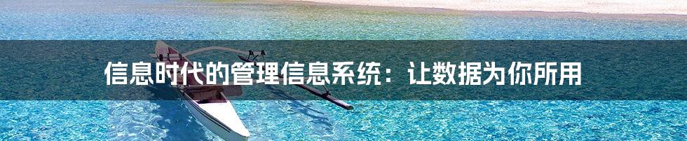 信息时代的管理信息系统：让数据为你所用