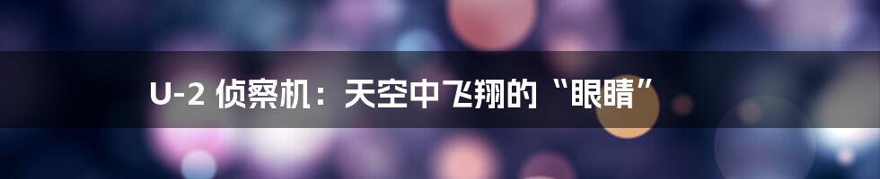 U-2 侦察机:天空中飞翔的“眼睛”