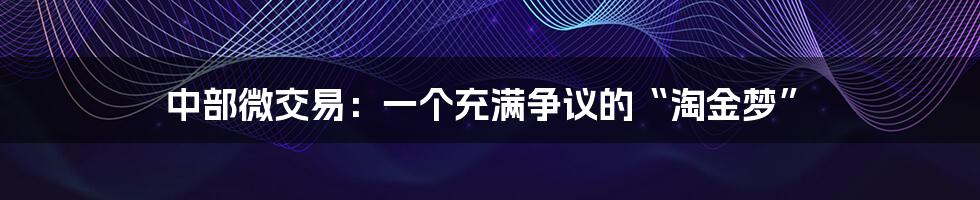 中部微交易：一个充满争议的“淘金梦”