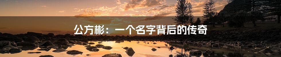 公方彬:一个名字背后的传奇