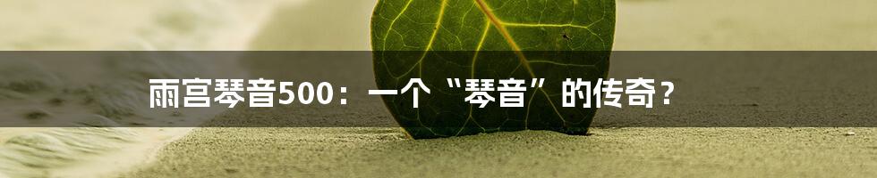 雨宫琴音500:一个“琴音”的传奇?