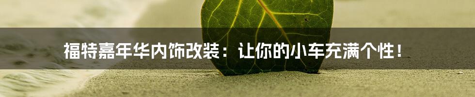 福特嘉年华内饰改装:让你的小车充满个性!