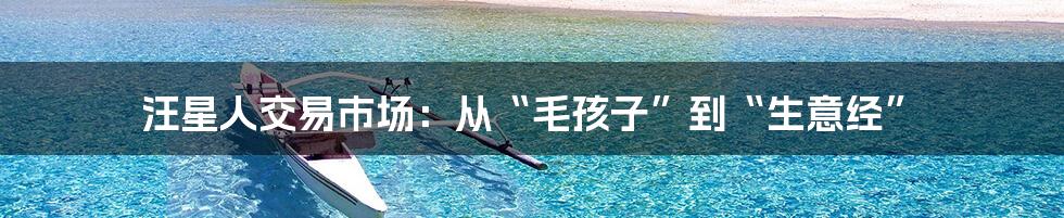 汪星人交易市场:从“毛孩子”到“生意经”