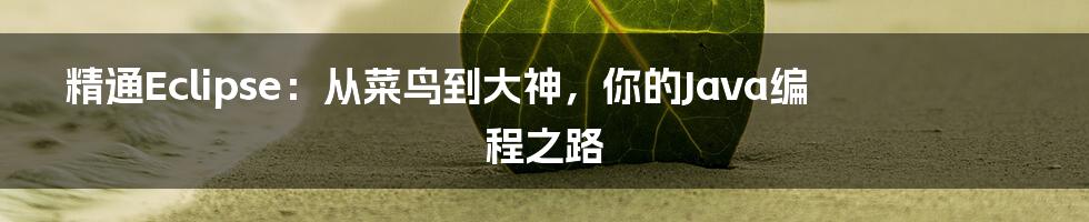 精通Eclipse：从菜鸟到大神，你的Java编程之路