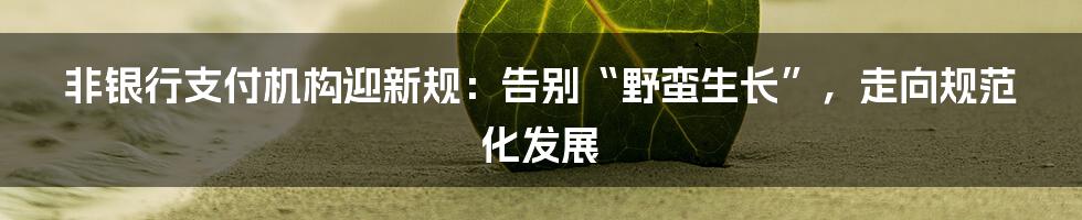 非银行支付机构迎新规：告别“野蛮生长”，走向规范化发展