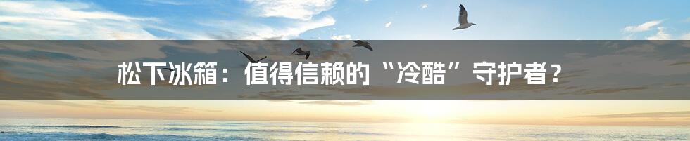 松下冰箱:值得信赖的“冷酷”守护者?