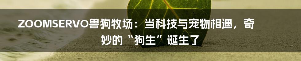 ZOOMSERVO兽狗牧场:当科技与宠物相遇,奇妙的“狗生”诞生了