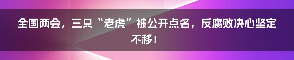 全国两会,三只“老虎”被公开点名,反腐败决心坚定不移!