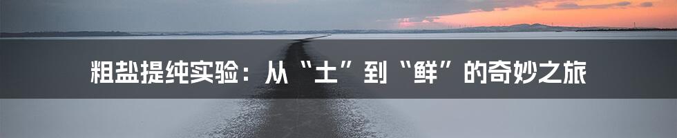 粗盐提纯实验:从“土”到“鲜”的奇妙之旅