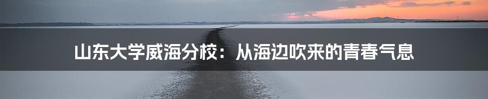 山东大学威海分校:从海边吹来的青春气息