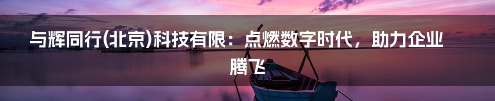 与辉同行(北京)科技有限：点燃数字时代，助力企业腾飞