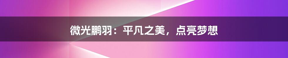 微光鹏羽:平凡之美,点亮梦想