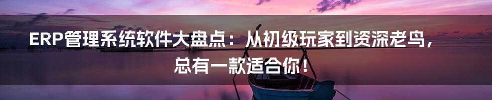 ERP管理系统软件大盘点:从初级玩家到资深老鸟,总有一款适合你!