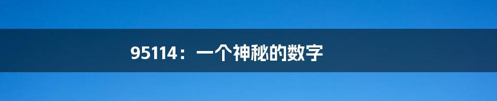 95114:一个神秘的数字