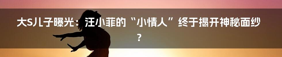 大S儿子曝光:汪小菲的“小情人”终于揭开神秘面纱?