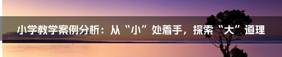 小学教学案例分析:从“小”处着手,探索“大”道理