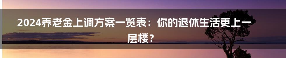 2024养老金上调方案一览表:你的退休生活更上一层楼?