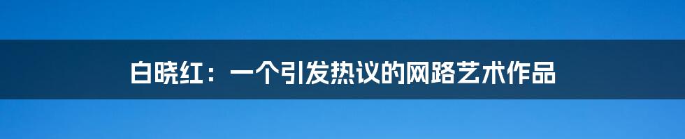 白晓红：一个引发热议的网路艺术作品