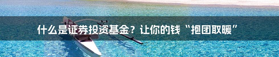 什么是证券投资基金？让你的钱“抱团取暖”