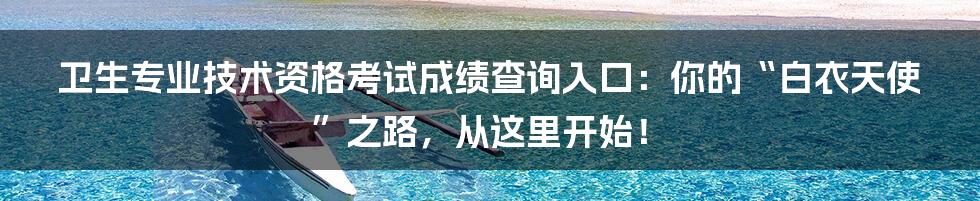 卫生专业技术资格考试成绩查询入口:你的“白衣天使”之路,从这里开始!