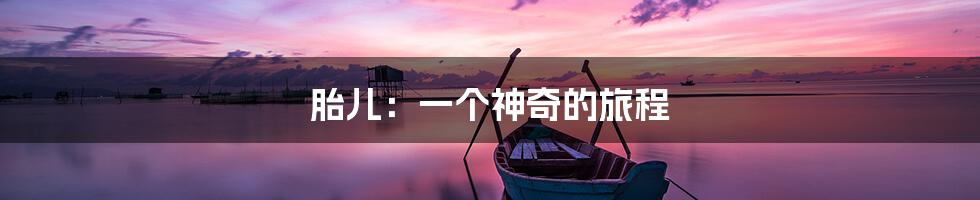 胎儿:一个神奇的旅程