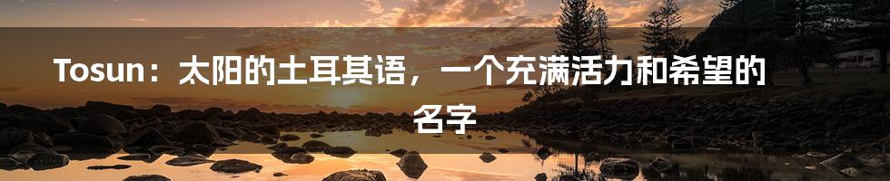 Tosun:太阳的土耳其语,一个充满活力和希望的名字
