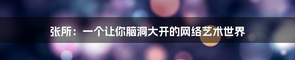 张所:一个让你脑洞大开的网络艺术世界