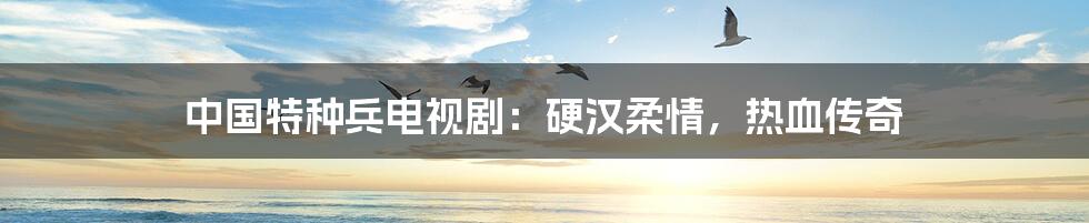 中国特种兵电视剧:硬汉柔情,热血传奇