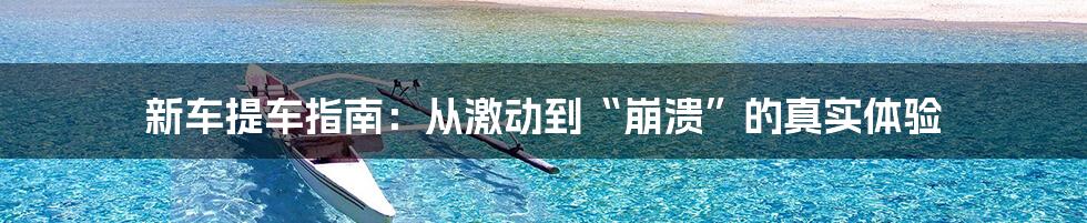 新车提车指南:从激动到“崩溃”的真实体验