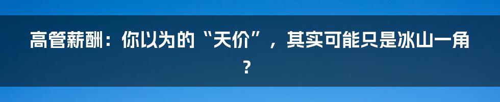 高管薪酬:你以为的“天价”,其实可能只是冰山一角?