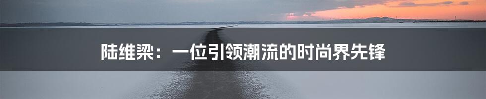 陆维梁:一位引领潮流的时尚界先锋